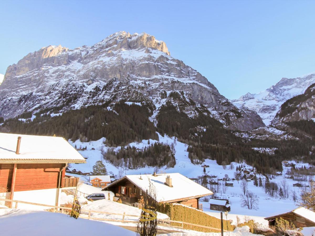 Apartment Chalet Almisräba Grindelwald Extérieur photo