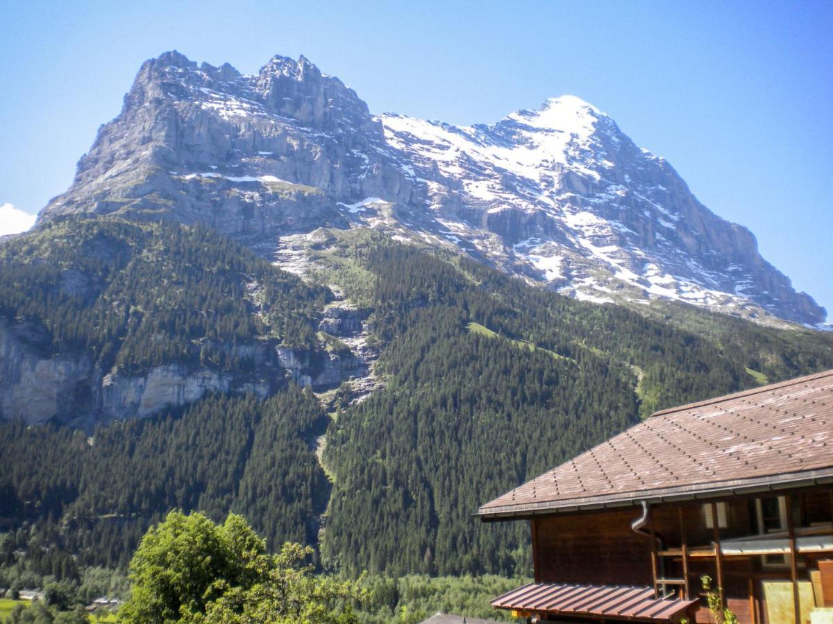 Apartment Chalet Almisräba Grindelwald Extérieur photo