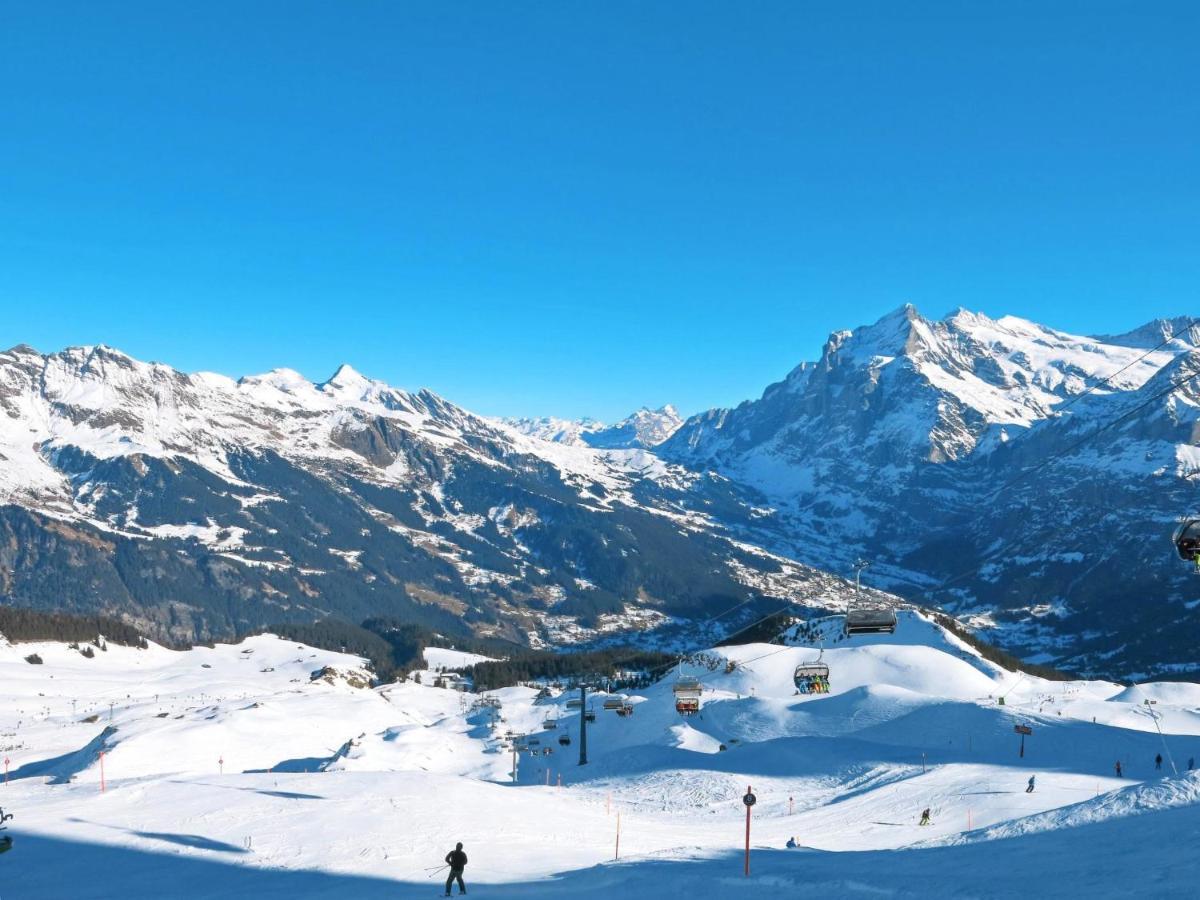 Apartment Chalet Almisräba Grindelwald Extérieur photo