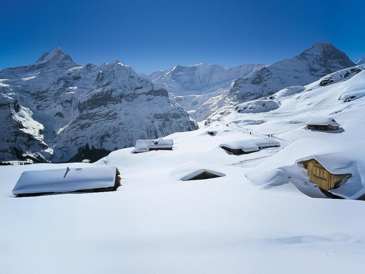 Apartment Chalet Almisräba Grindelwald Extérieur photo