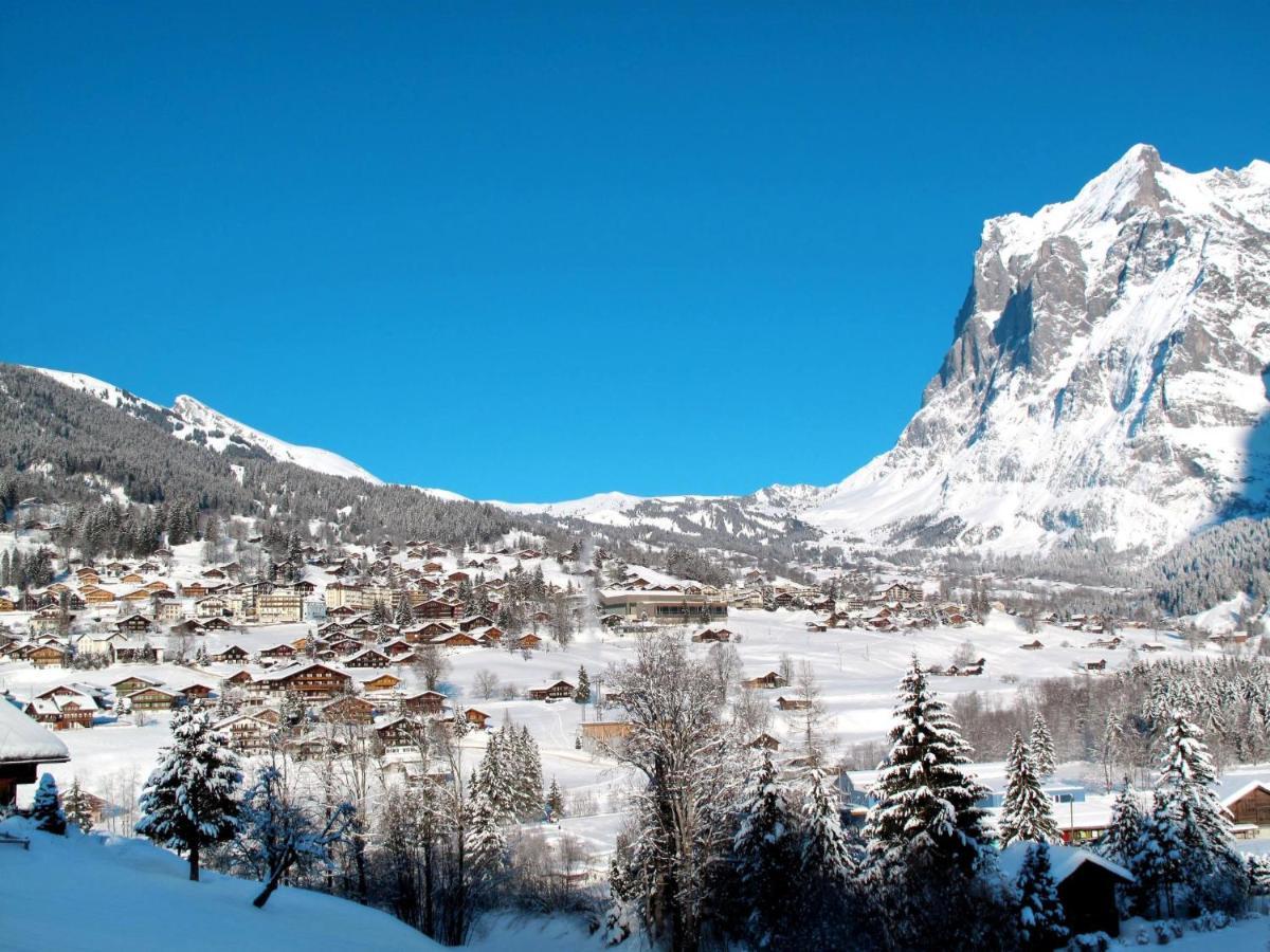 Apartment Chalet Almisräba Grindelwald Extérieur photo