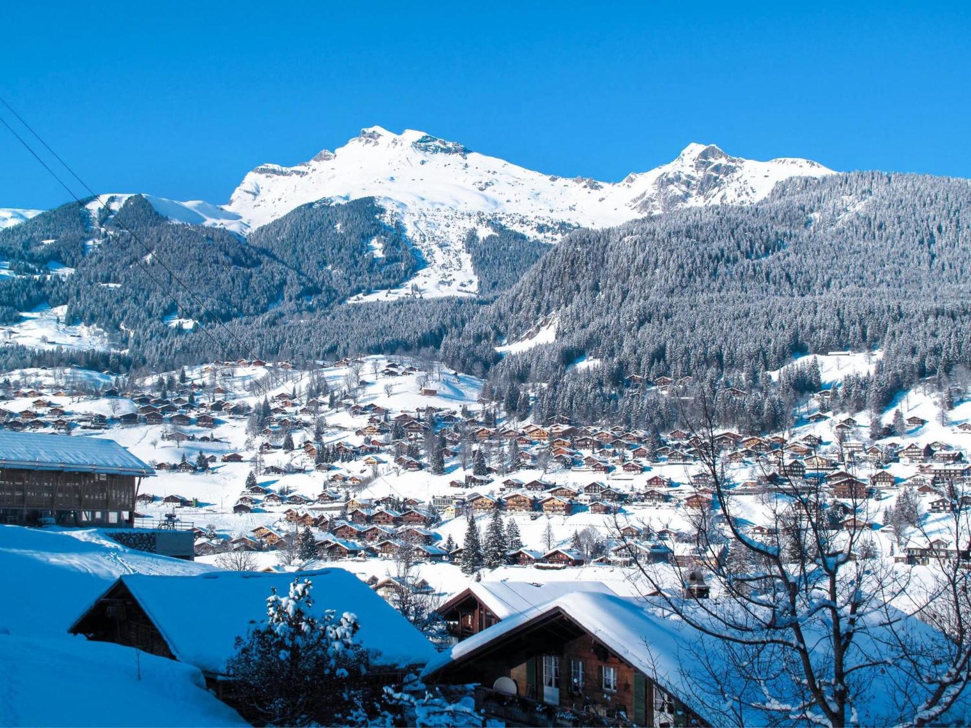 Apartment Chalet Almisräba Grindelwald Extérieur photo